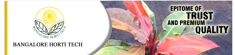 Bangalore Horti Tech 